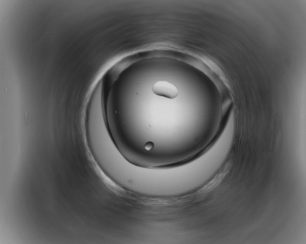 X0000088131438200705211107