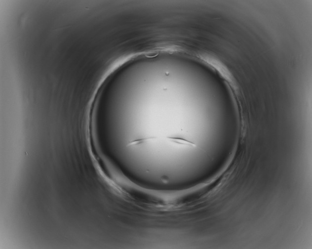 X0000088131439200705211107