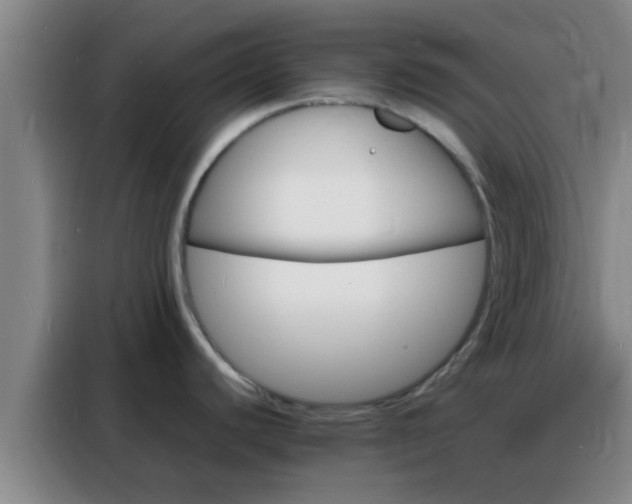X0000088131440200705211107
