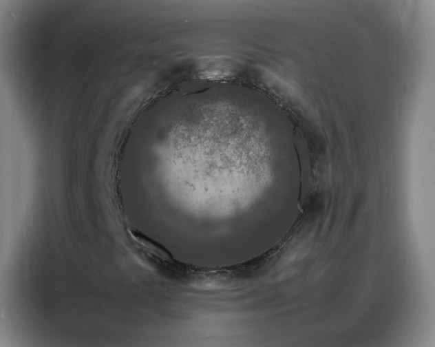 X0000088131441200705211106