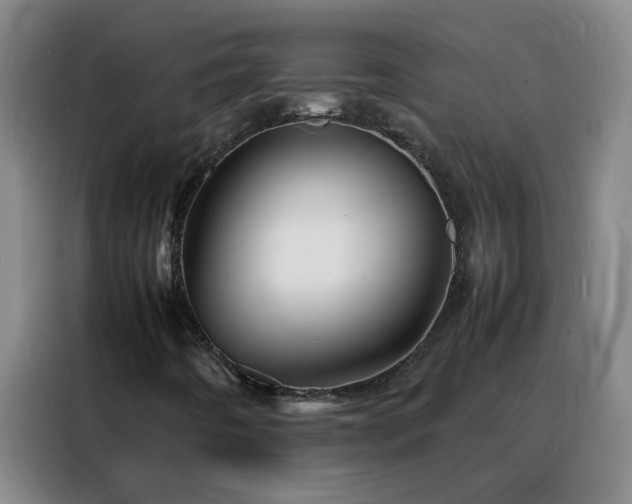 X0000088131442200705211106