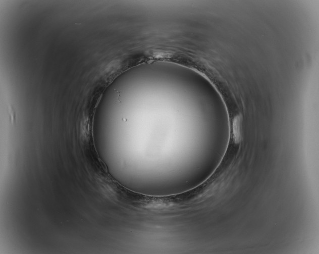 X0000088131443200705211106