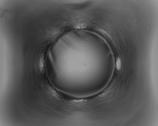 X0000088131444200705211106