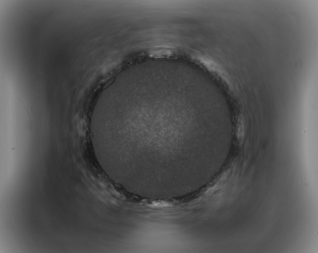 X0000088131445200705211106