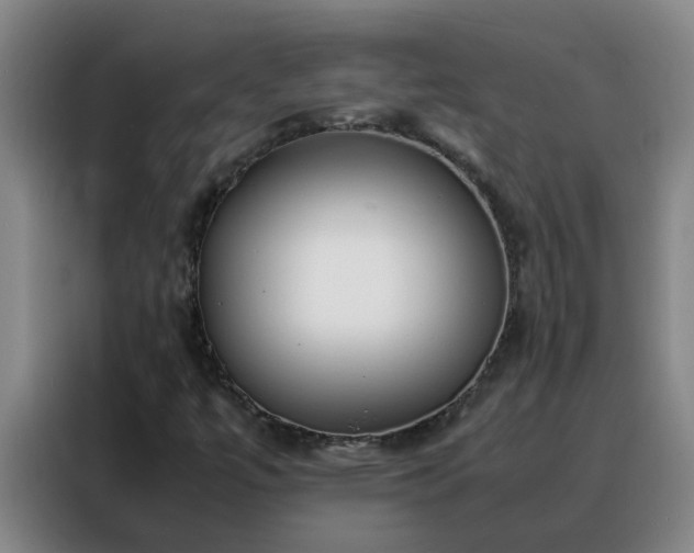 X0000088131447200705211106