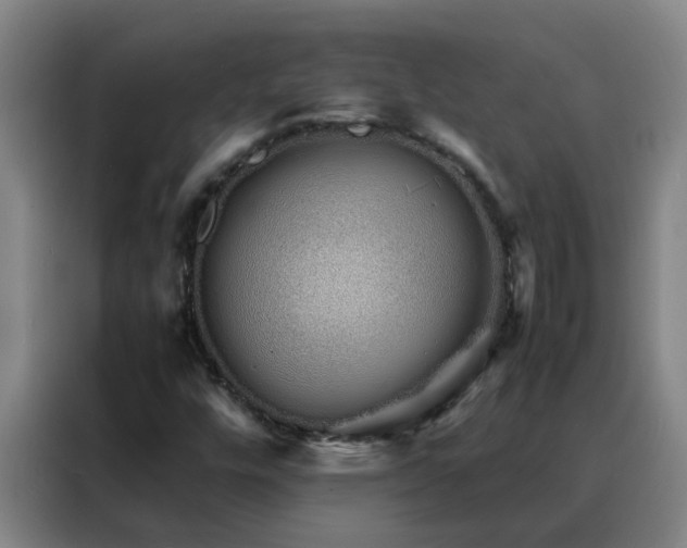 X0000088131448200705211106