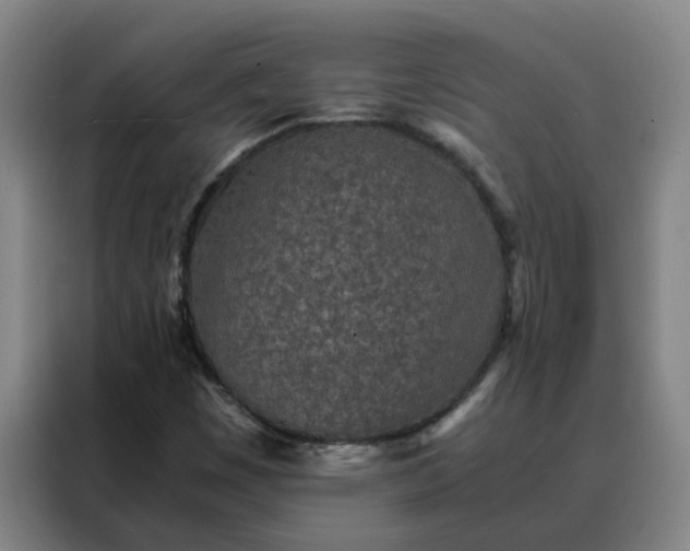 X0000088131449200705211106