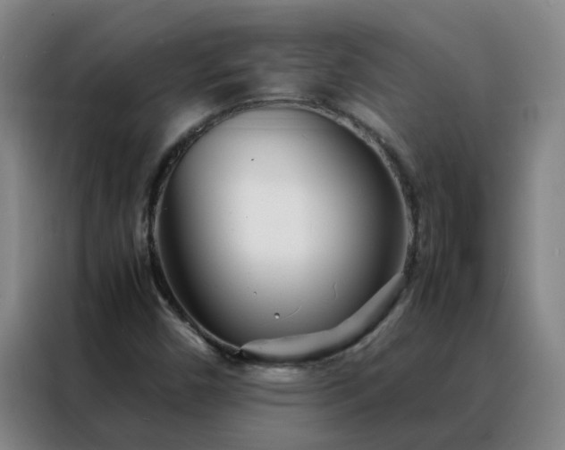 X0000088131450200705211106