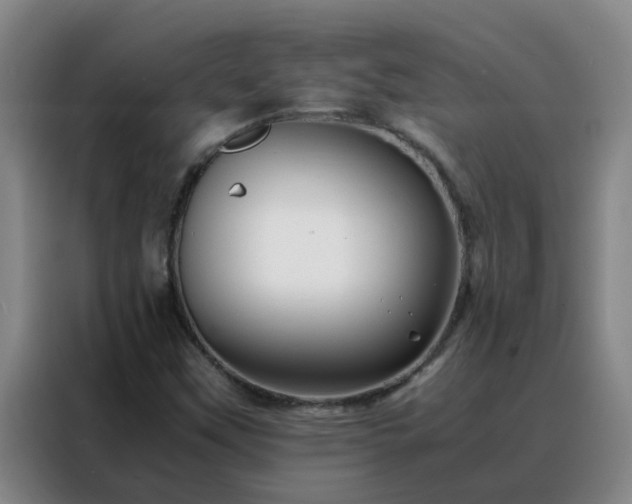 X0000088131451200705211106