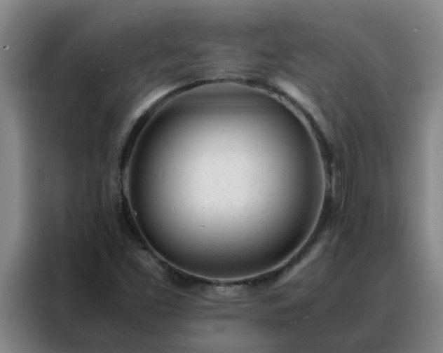 X0000088131453200705211106