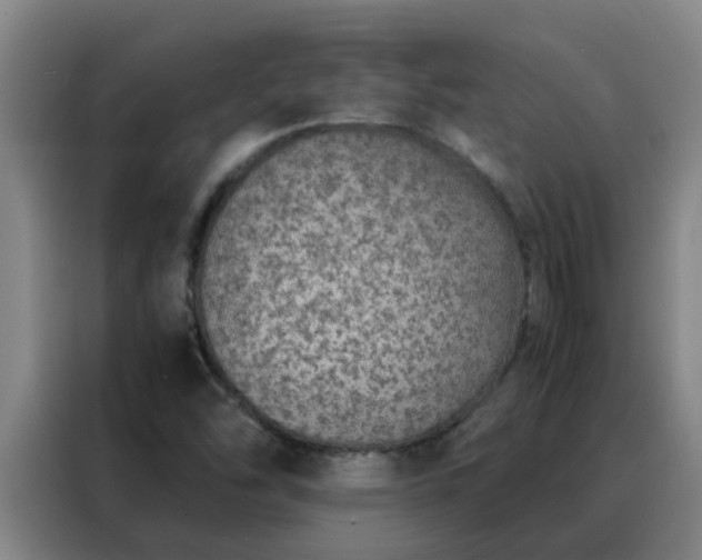 X0000088131454200705211106