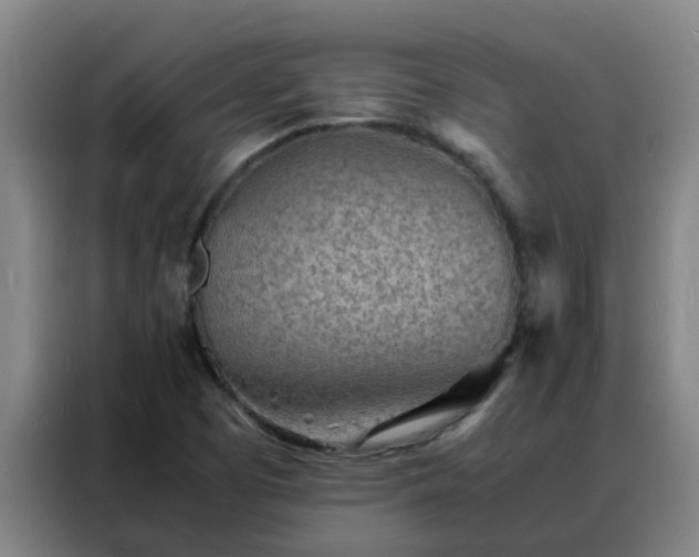 X0000088131457200705211106