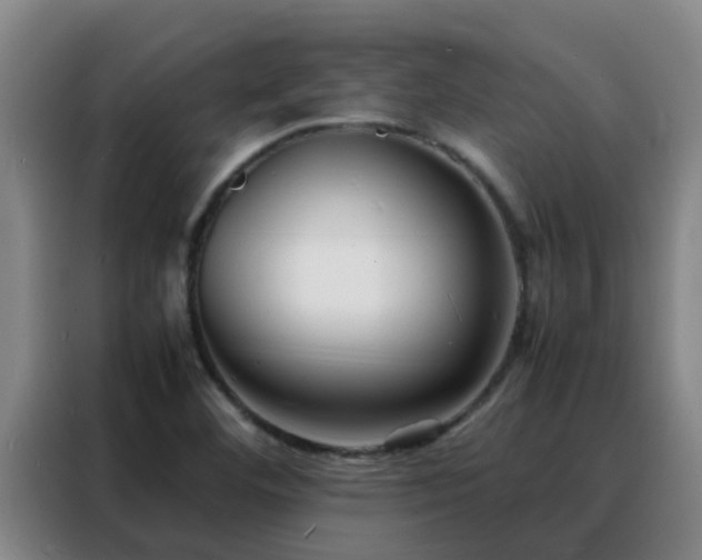 X0000088131460200705211106