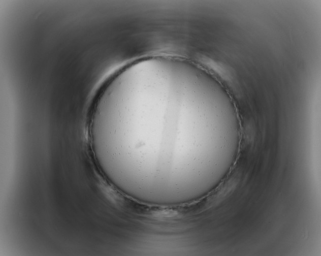 X0000088131462200705211106