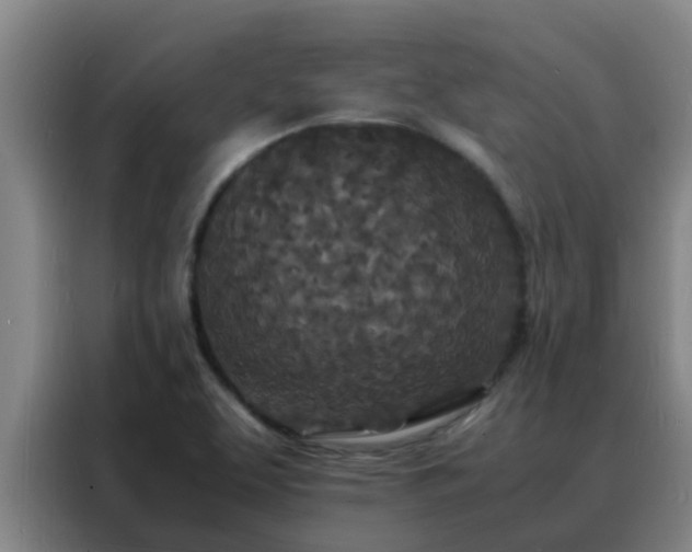 X0000088131463200705211106