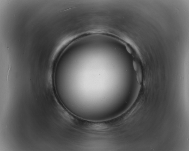 X0000088131464200705211106