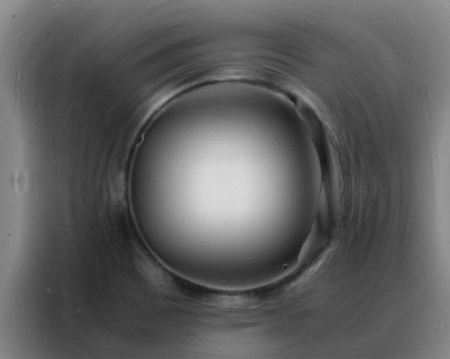 X0000088131465200705211106