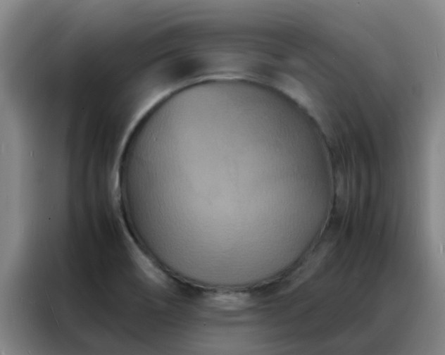 X0000088131466200705211106