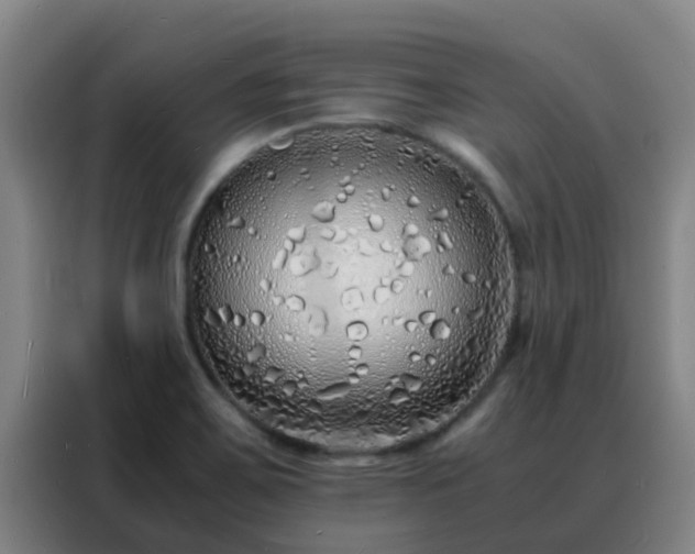 X0000088131467200705211106