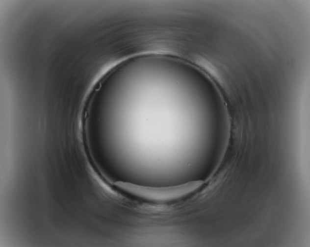 X0000088131468200705211106