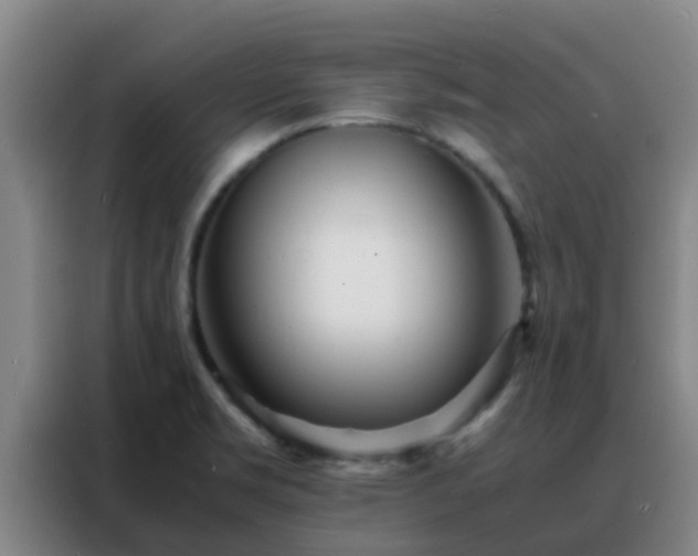 X0000088131469200705211106