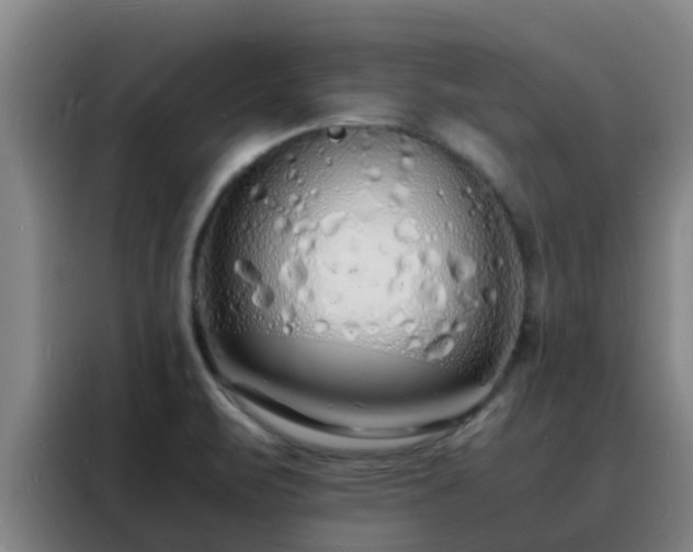 X0000088131471200705211106