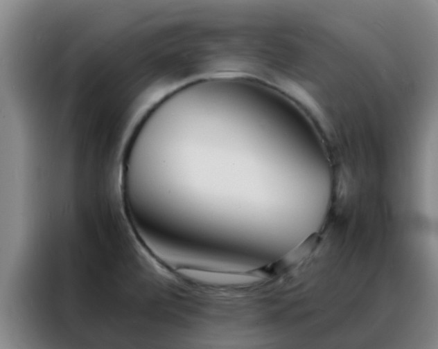 X0000088131472200705211106
