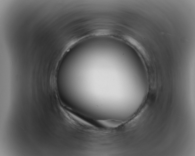 X0000088131473200705211106