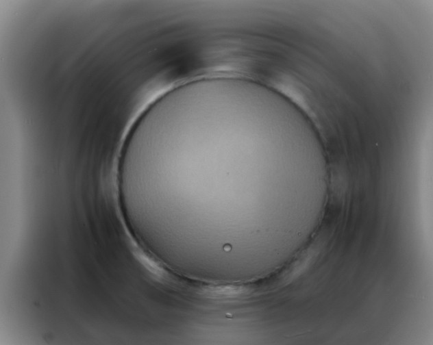 X0000088131474200705211106
