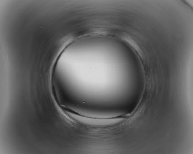 X0000088131475200705211106