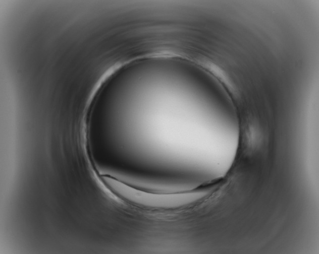X0000088131476200705211106