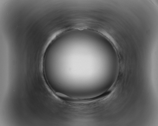 X0000088131477200705211106