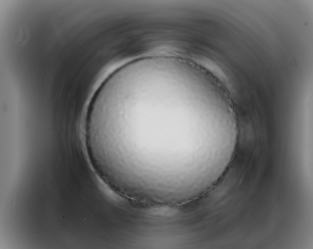 X0000088131478200705211106