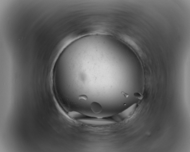 X0000088131479200705211106