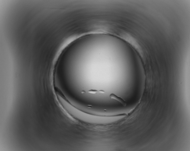 X0000088131480200705211106