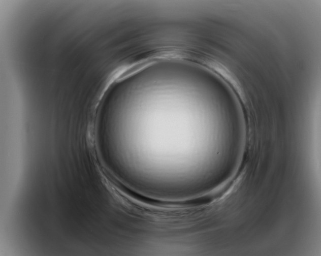 X0000088131481200705211105