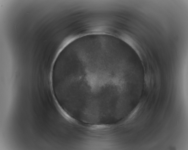 X0000088131482200705211105