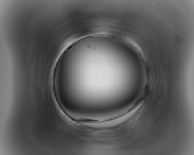 X0000088131483200705211105