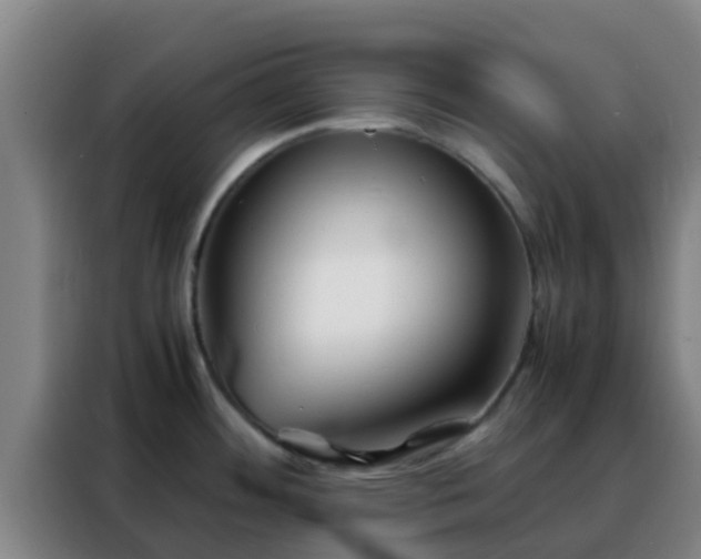 X0000088131484200705211105