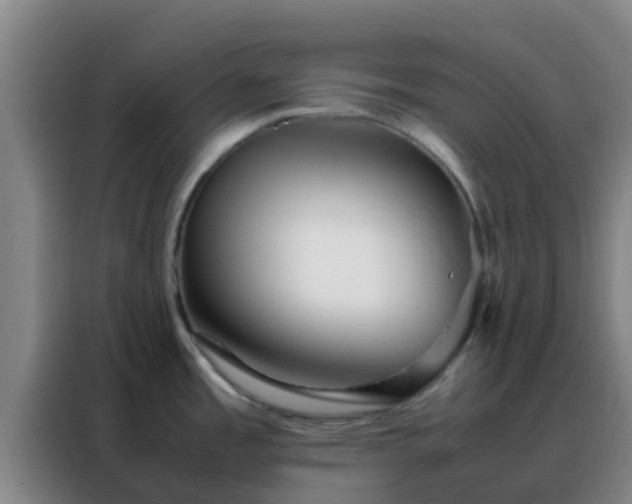 X0000088131485200705211105