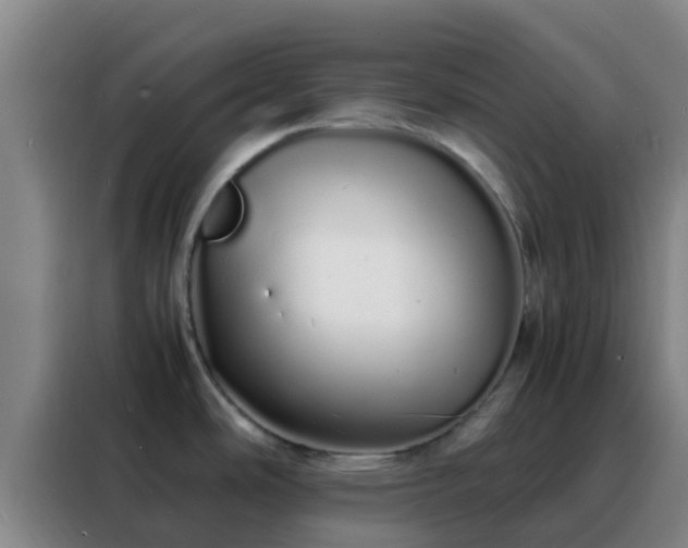 X0000088131486200705211105