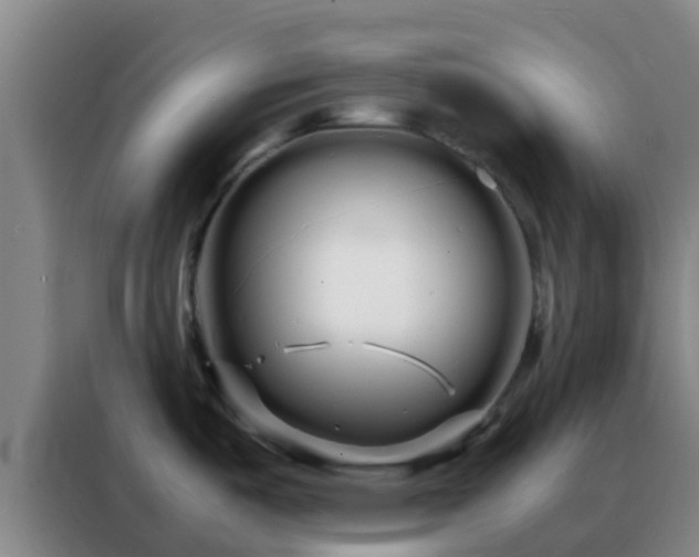 X0000088131487200705211105