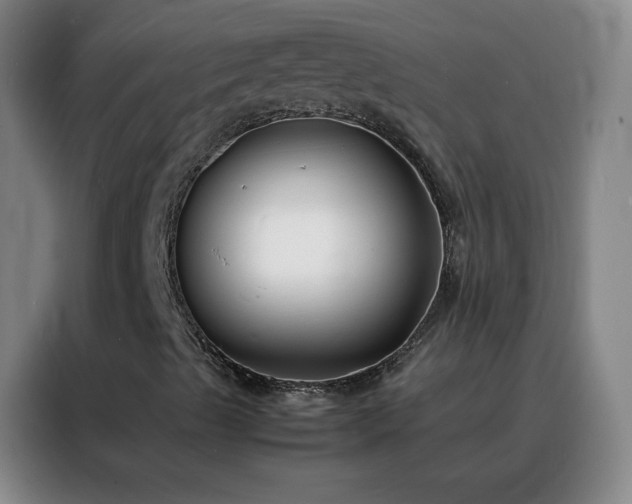 X0000088131489200705211105