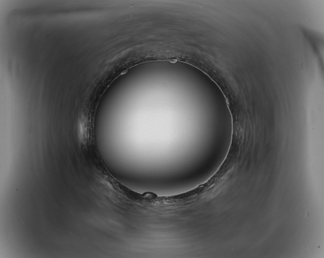 X0000088131490200705211105