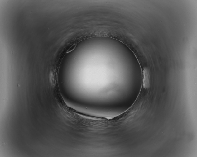 X0000088131491200705211105
