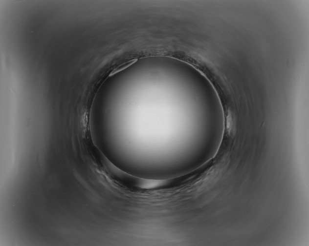 X0000088131492200705211105