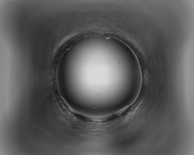 X0000088131494200705211105