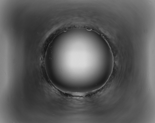 X0000088131495200705211105