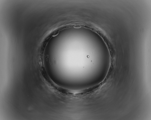 X0000088131496200705211105