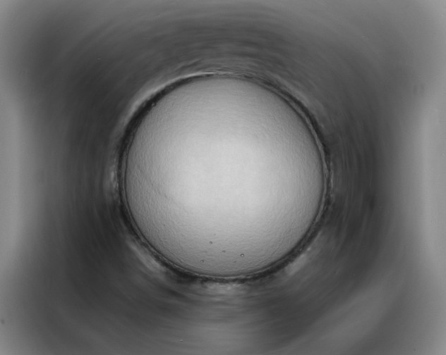 X0000088131498200705211105